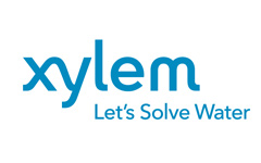 Xylem